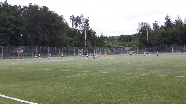 Sportanlage Bodenweid Platz 1 - Bern