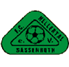 Wappen ehemals FC Hellertal Sassenroth 1985  106428