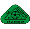 Wappen ehemals FC Hellertal Sassenroth 1985