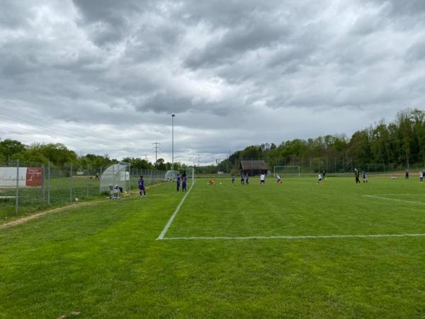 Sportanlage Netzi Platz 2 - Eiken