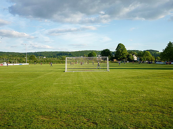 Sportanlage auf der Lahninsel - Wetzlar-Naunheim