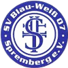 Wappen SV Blau-Weiß 07 Spremberg  18379