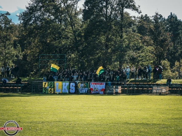 Stadion Leśny w Sarnowie - Sarnowa