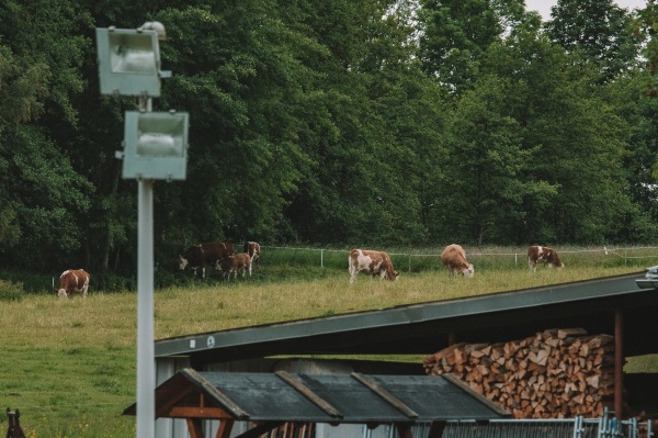 Sportplatz an der Turnhalle - Pockau-Lengefeld-Lippersdorf