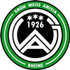 Wappen Grün Weiß Amisia Rheine 1926 diverse