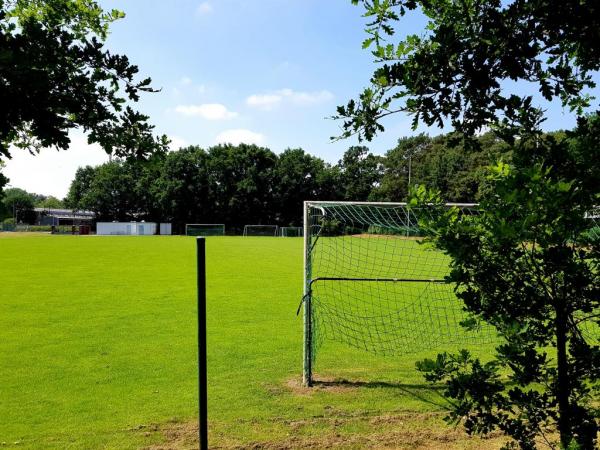 Waldstadion - Lingen/Ems-Darme