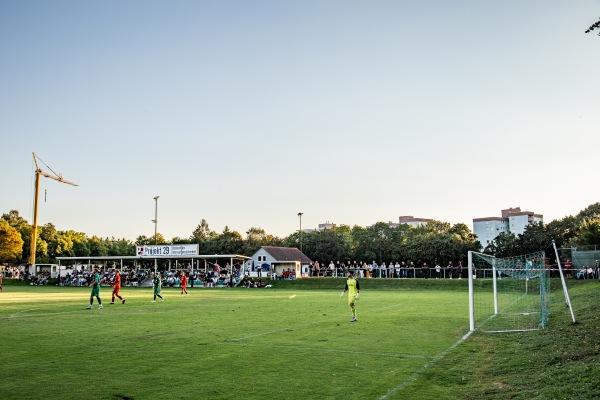 Projekt 29 Arena Isarstraße - Regensburg