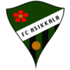 Wappen FC Asikkala