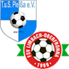 Wappen SpG Pleißa/Limbach-Oberfrohna II (Ground B)