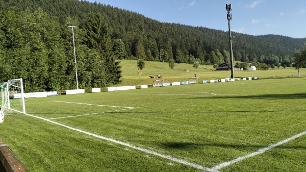 Terrain Les Gouttes - La Sagne