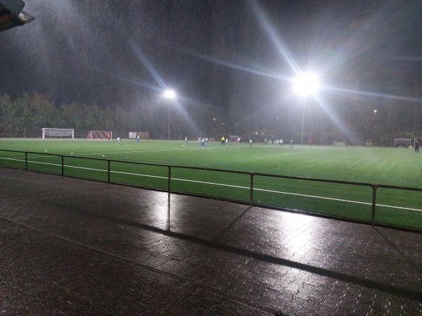 Sportanlage Ortsmittelpunkt Platz 2 - Hammersbach-Marköbel