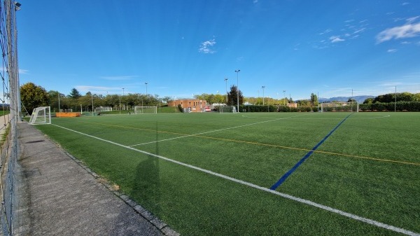 Centre Sportif de Colovray terrain 5 - Nyon