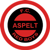 Wappen FC Red Boys Aspelt  40706