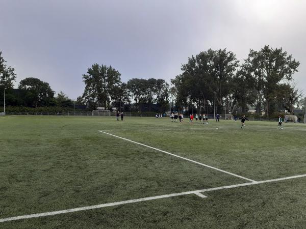 Sportpark West-End veld 5-Lycurgus - Groningen