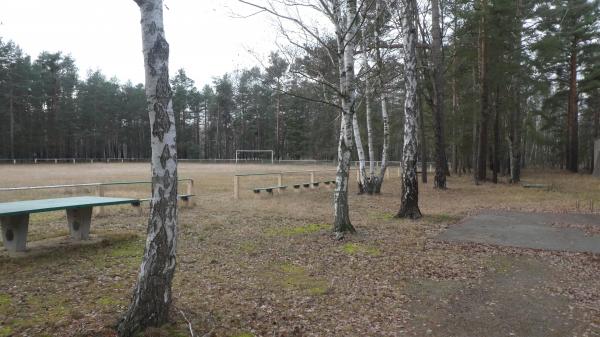 Urwaldarena - Forst/Lausitz-Groß Jamno