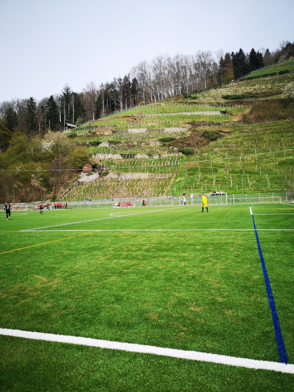 Eichbergstadion Nebenplatz - Glottertal
