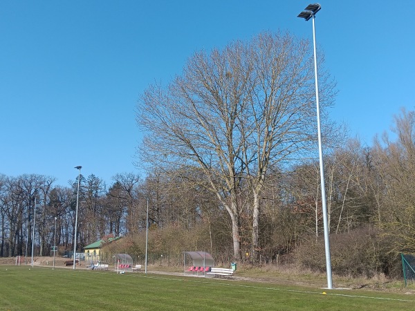 Waldstadion Stadtholz - Stavenhagen