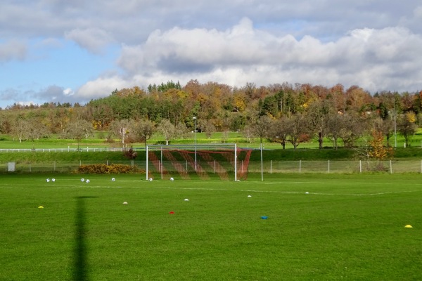 Riedstadion - Radolfzell/Bodensee-Markelfingen