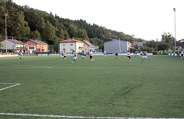 Zaunergroup Arena - Wallern an der Trattnach