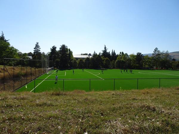 Futbolnoye Polye Dusheti - Dusheti