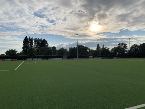 Sportanlage am Schönbusch Platz 5 - Aschaffenburg