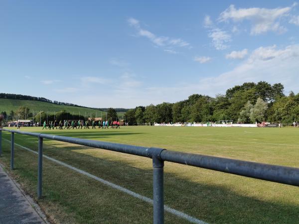 Sportanlage Metterstraße - Vaihingen/Enz-Gündelbach