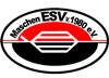 Wappen Eisenbahner SV Maschen 1980  42876