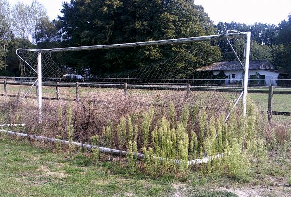 Sportanlage Weißer Moorweg B-Platz - Hassendorf