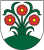 Wappen TJ Partizán Vrchteplá  127606