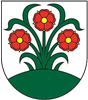 Wappen TJ Partizán Vrchteplá