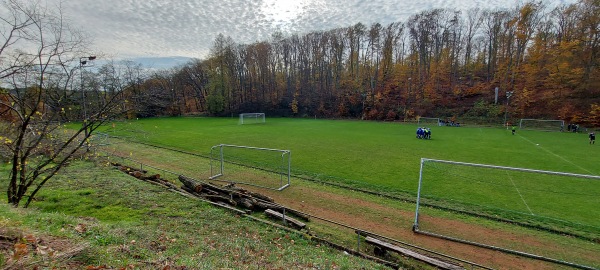 Friedrich-Ludwig-Jahn-Stadion - Buckow/Märkische Schweiz