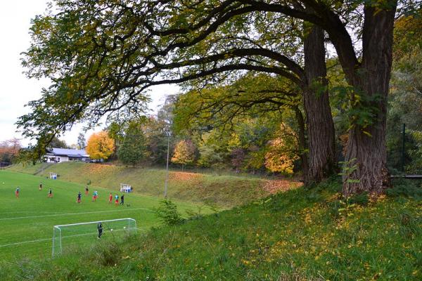 Sportplatz Wassenach - Wassenach