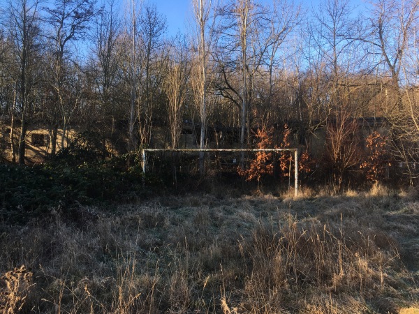 Schwanenschloß-Sportplatz - Zwickau