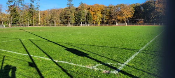 Catawiki Sportpark veld 6 - Assen