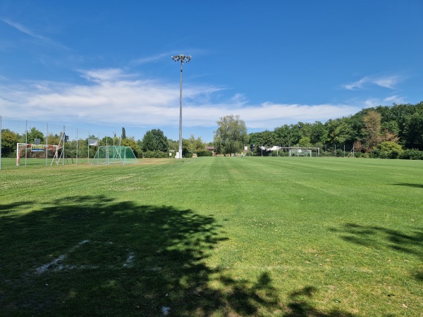 Centre Sportif Intercommunal des Evaux terrain 1 - Onex