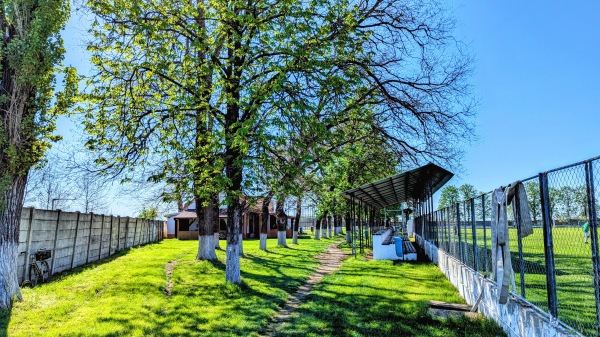 Stadionul Fenesi Petre - Tomnatic