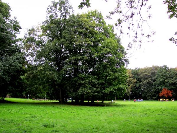 Sportplatz am Lindenplatz - Meineweh
