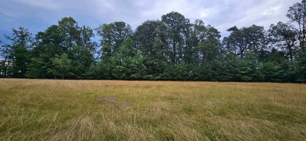 Waldsportplatz - Kurtscheid