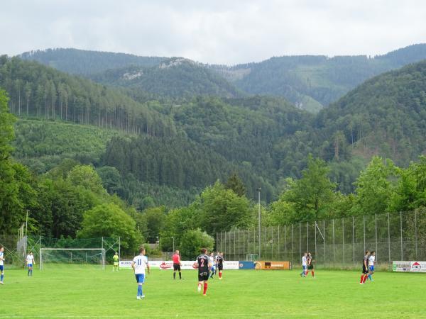 Sportplatz UFC Ternberg - Ternberg