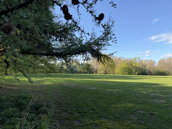 Sportanlage Lünischteich - Braunschweig