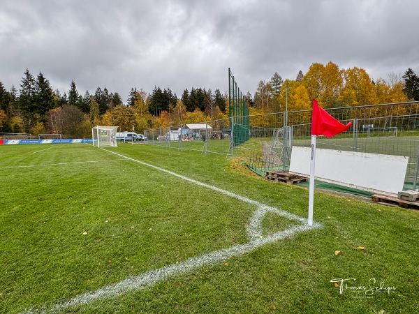 Sportanlage an der Jugendherberge - Schöneck/Vogtland