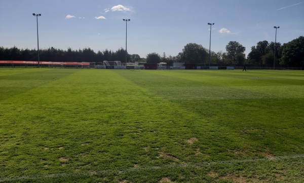Leg O'Mutton Field - Cobham, Surrey