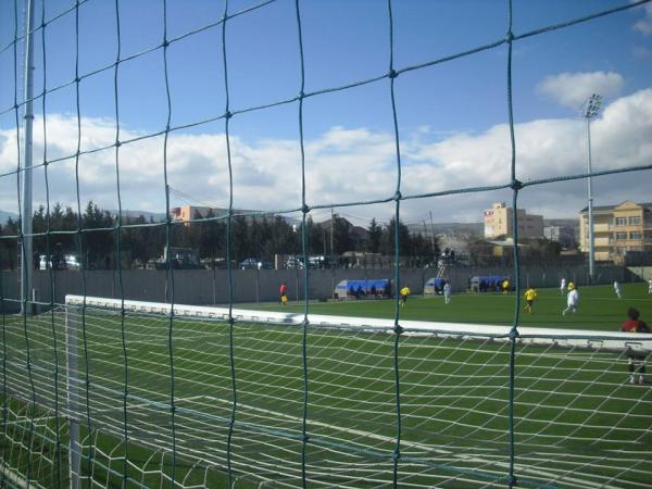 Vitali Daraselia Academy - Tbilisi