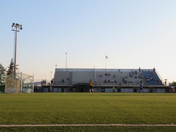 Dimotiko Stadio Ilion - Athína (Athens)