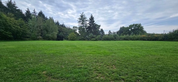 Sportplatz Linkenbach - Linkenbach
