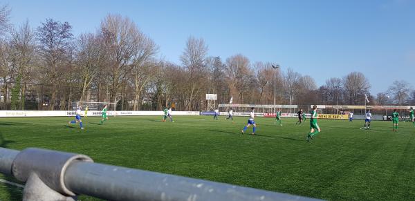 Melanchtonpark - Rotterdam 