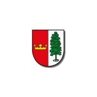 Wappen ehemals TJ Sokol Velký Bor