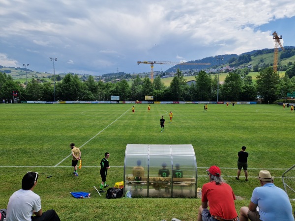 Sportplatz Erlenmoos - Wollerau