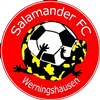 Wappen SV Salamander Werningshausen 1990