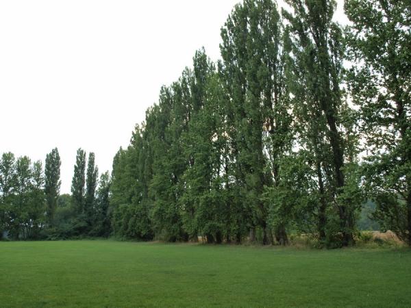 Sportplatz Am Wirksfeld - Dortmund-Kurl